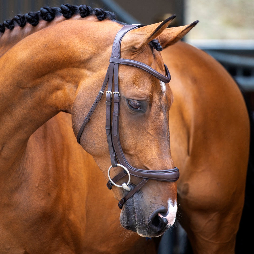 Lusso Ergonomic Curved Flash Bridle Havana Cob
