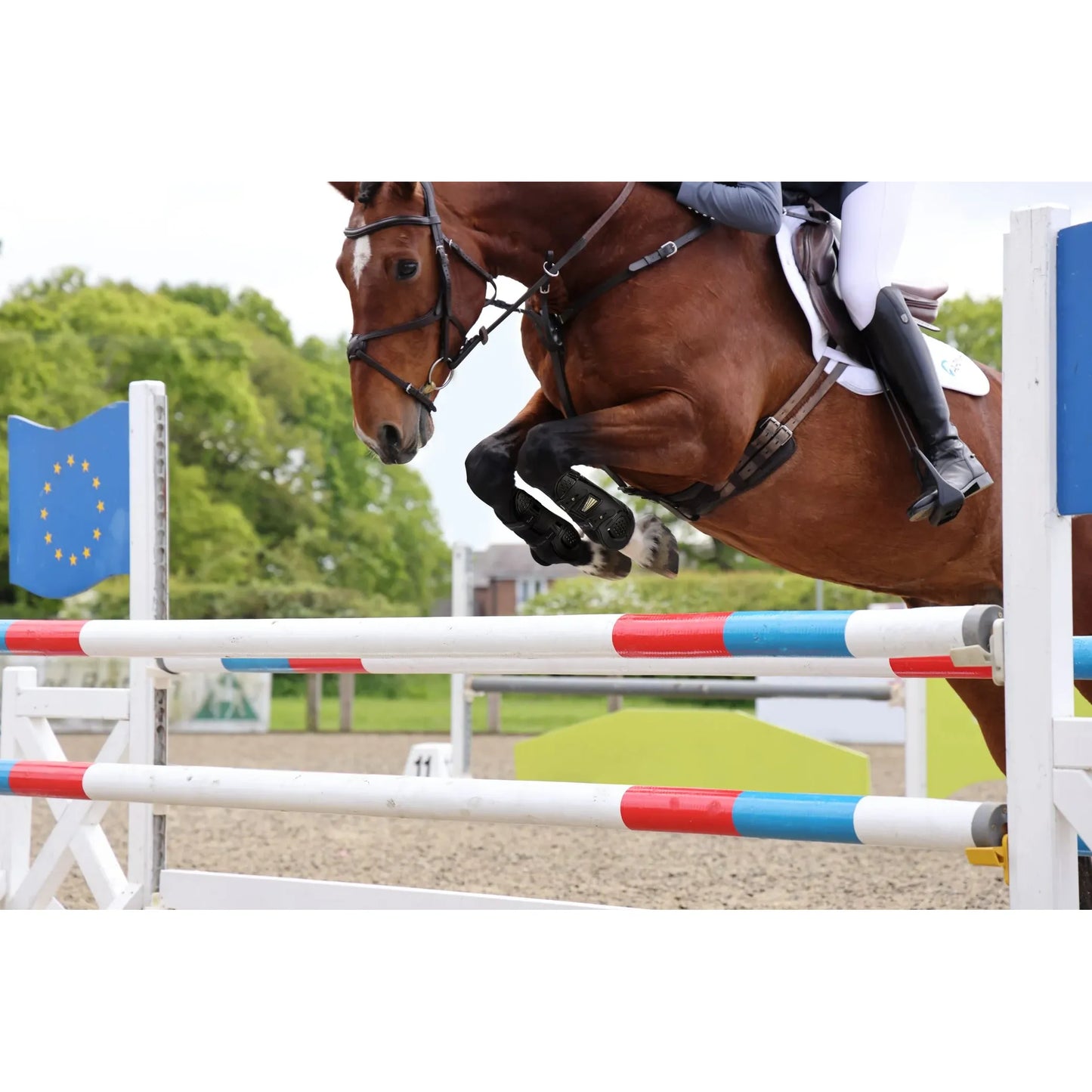 Protectores de Tendón ARMA OXI-ZONE: Protección Avanzada Contra Impactos para Caballos