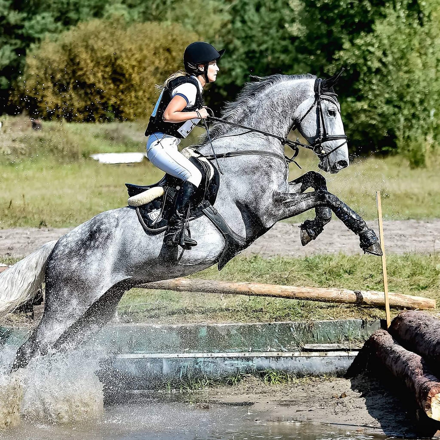 Majyk Equipe Color Elite XC Hind Boot with ARTi-LAGE™ Technology