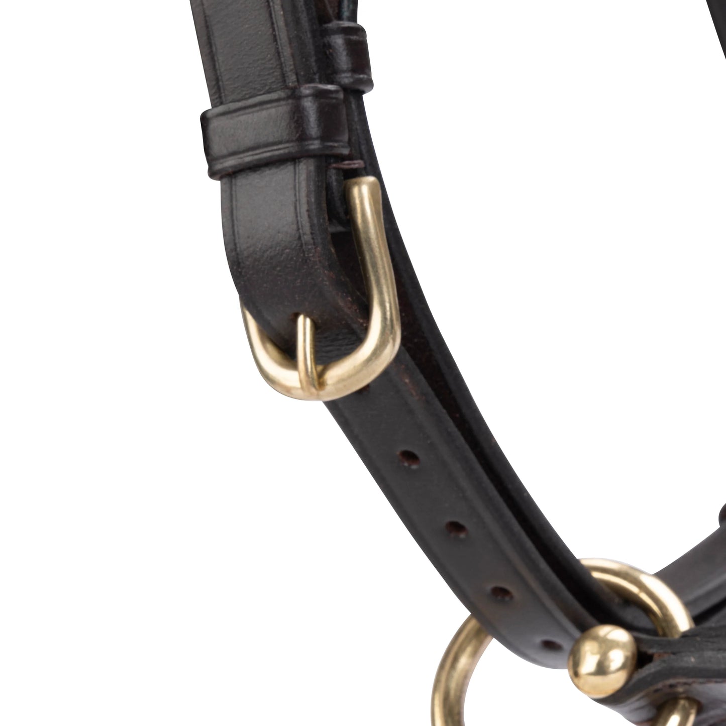 Velociti GARA Leather Travel Headcollar – Premium Padded Leather Halter for Travel & Show