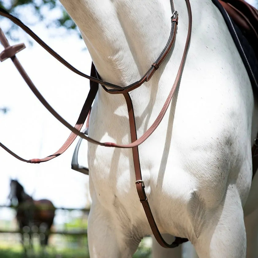 Signature by Antarès Standing Martingale