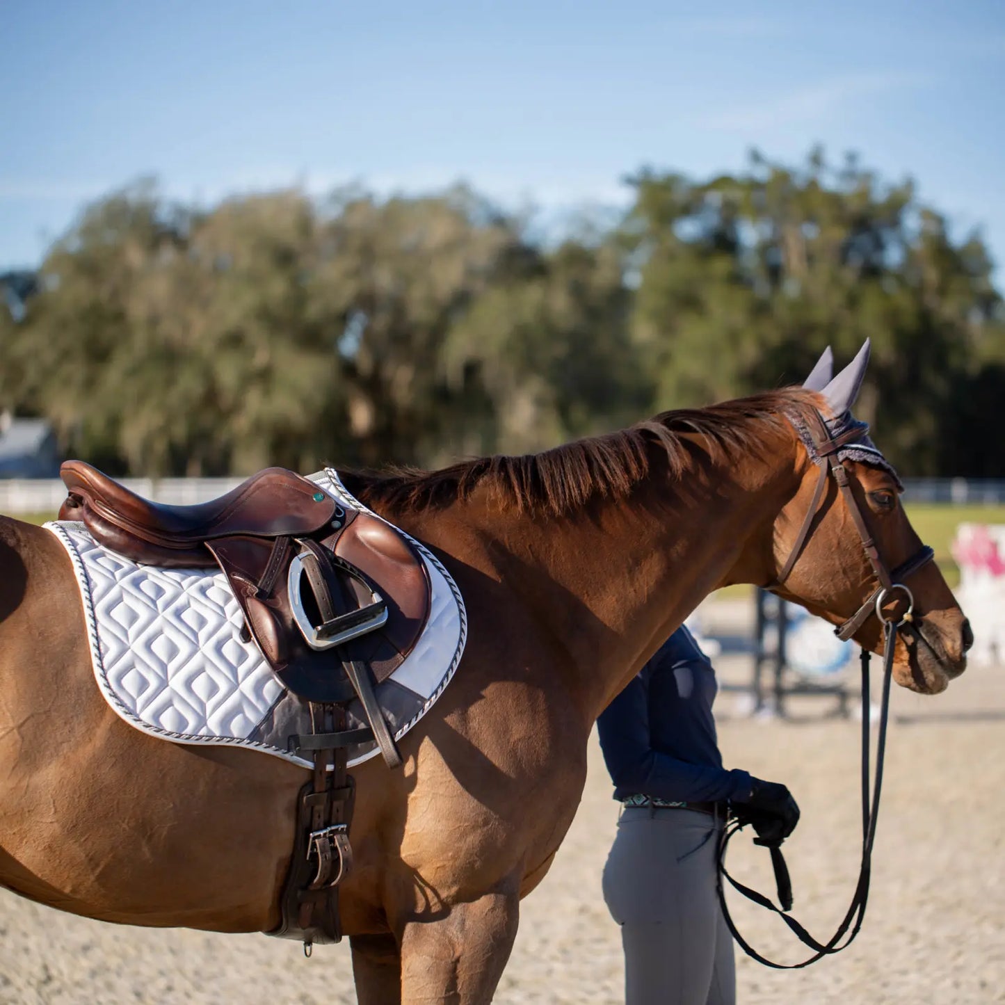 Equinavia Stockholm Jump Saddle Pad