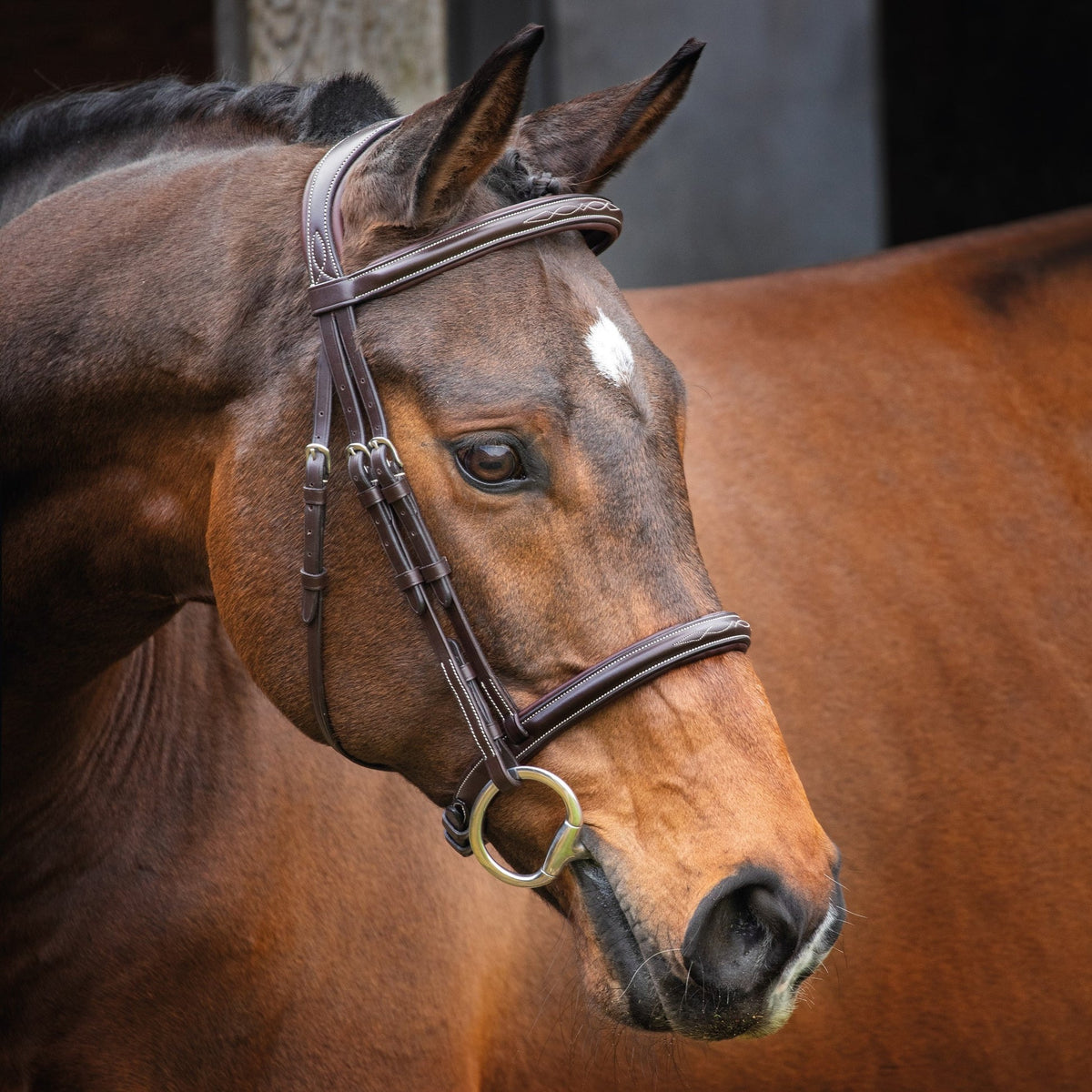 Lusso Hunter Cavesson Bridle Havana Cob