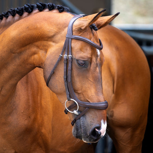 Lusso Ergonomic Curved Flash Bridle Havana Cob