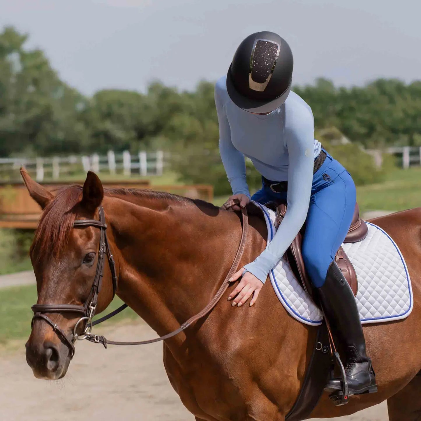 Casco de Equitación Equinavia Crown MIPS®