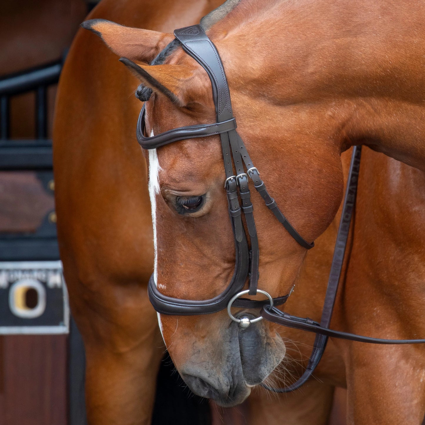Velociti Rapida Ergonomic Cavesson – Comfort Fit Noseband Bridle