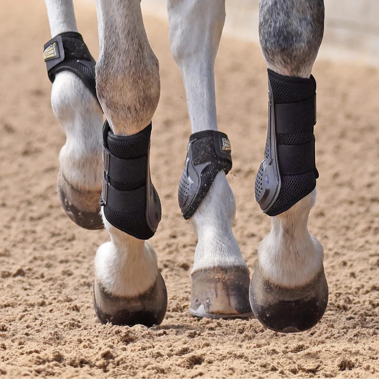 ARMA OXI-ZONE Fetlock Boots – Ventilated Protection for Hind Legs