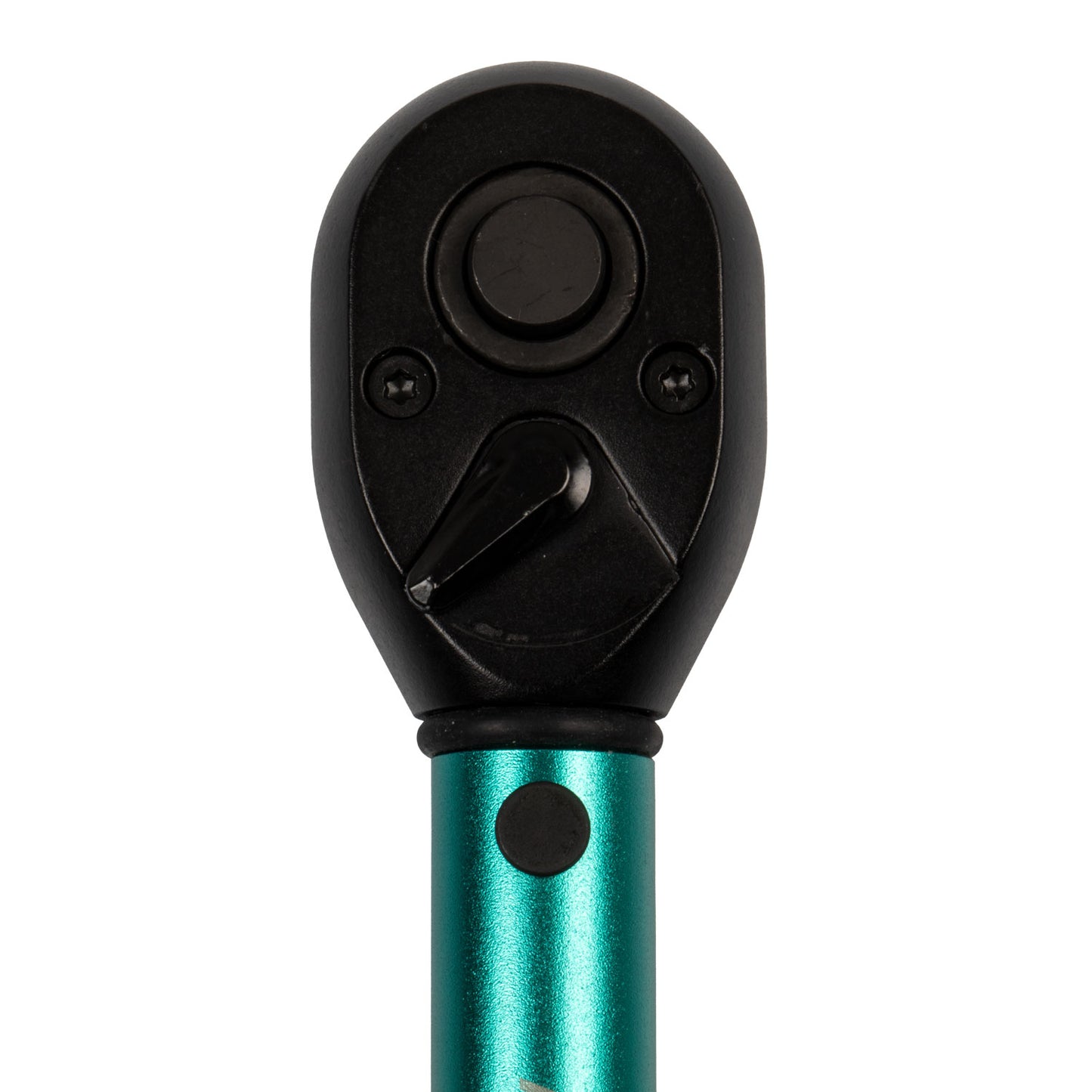 ACAVALLO MODIGLIANI JUMPING SADDLE WITH FLOCKED PANELS