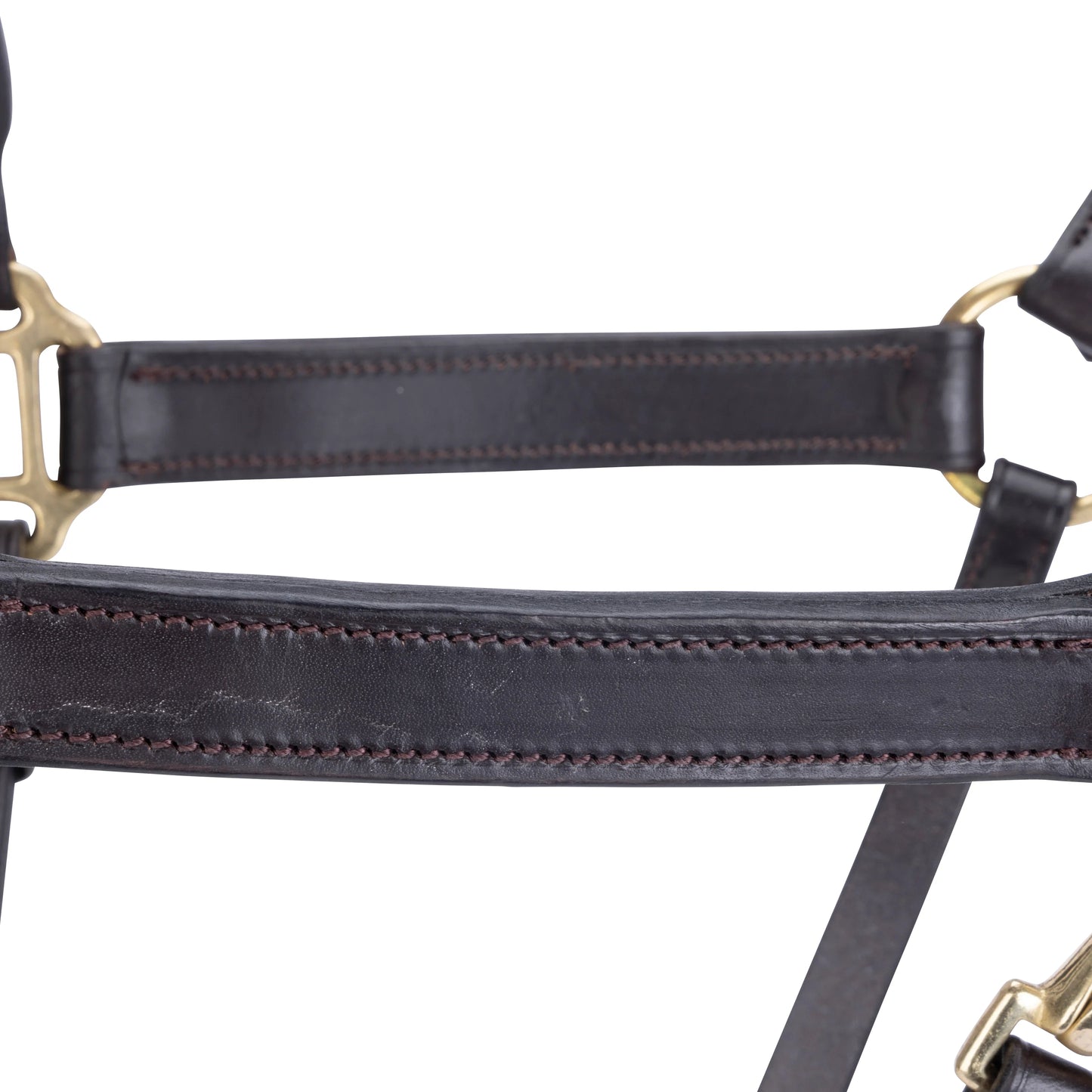 Velociti GARA Leather Travel Headcollar – Premium Padded Leather Halter for Travel & Show
