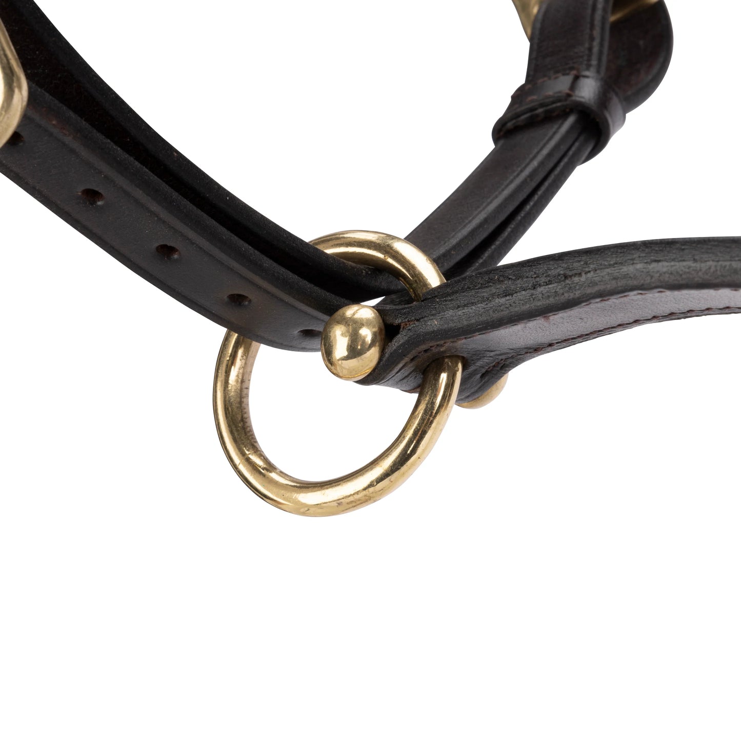 Velociti GARA Leather Travel Headcollar – Premium Padded Leather Halter for Travel & Show