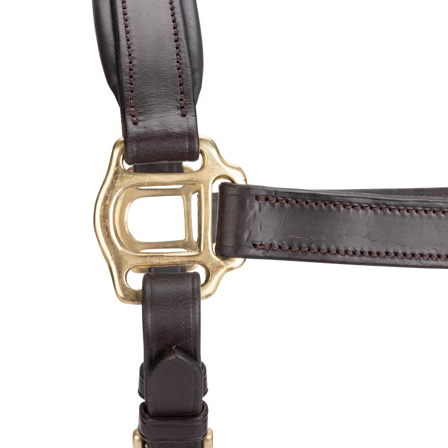 Velociti GARA Leather Travel Headcollar – Premium Padded Leather Halter for Travel & Show