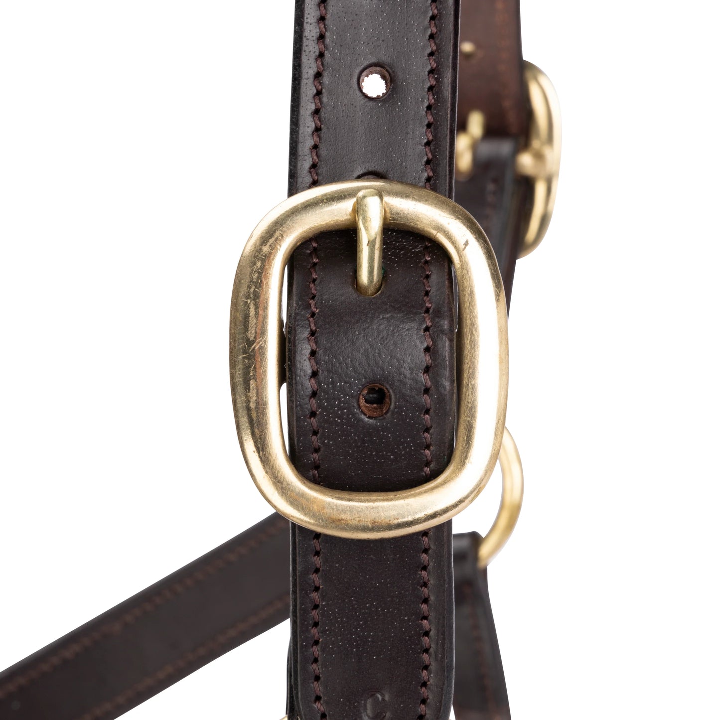 Velociti GARA Leather Travel Headcollar – Premium Padded Leather Halter for Travel & Show