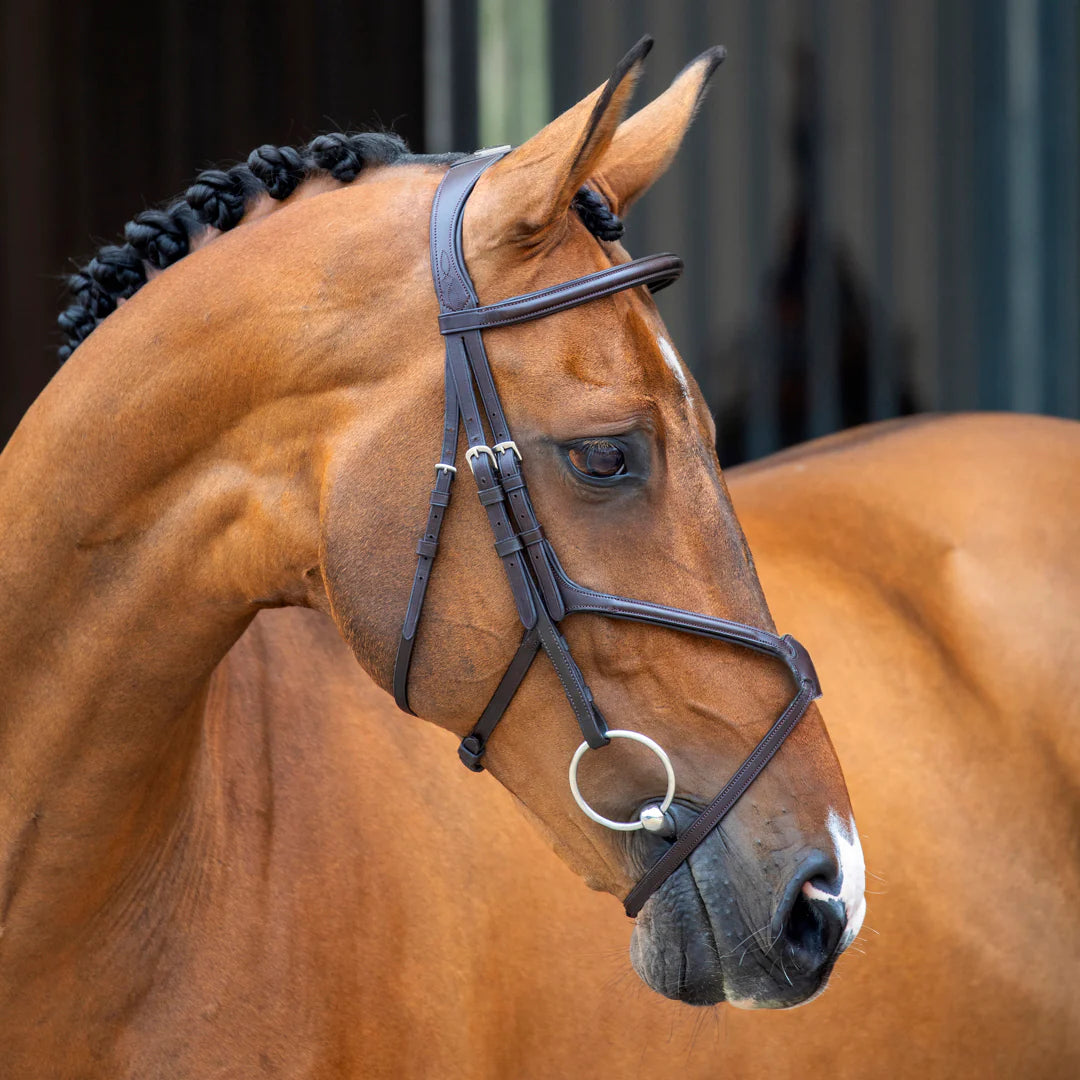 Velociti Lusso Grackle Bridle – Premium Bridle for Performance Horses