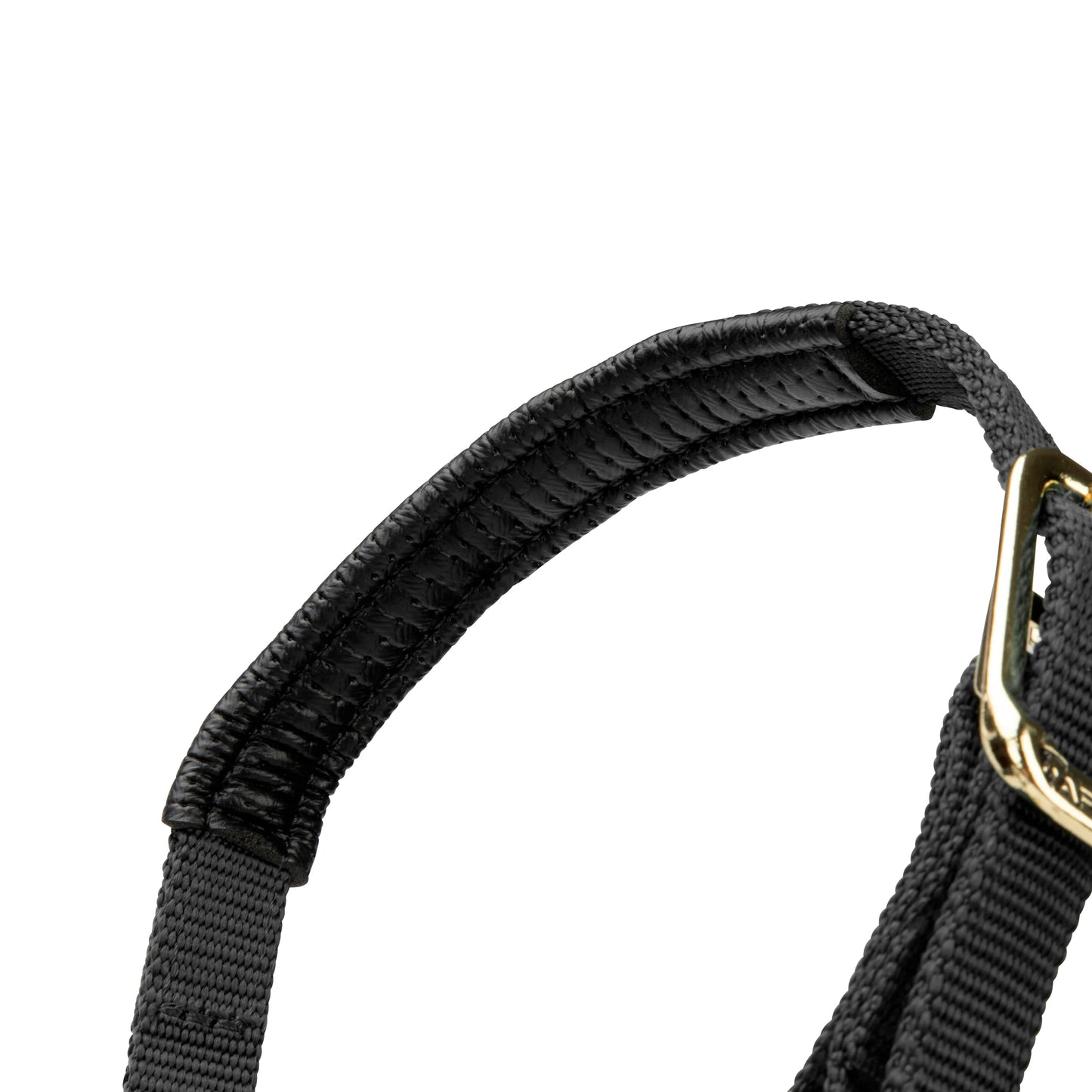ARMA Topaz Nylon Headcollar – Durable Adjustable Halter with Soft Padding