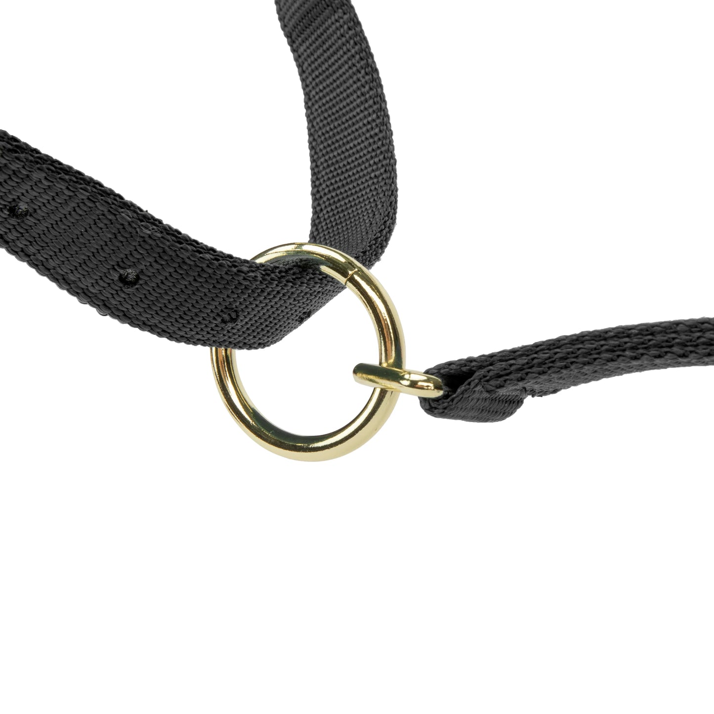 ARMA Topaz Nylon Headcollar – Durable Adjustable Halter with Soft Padding