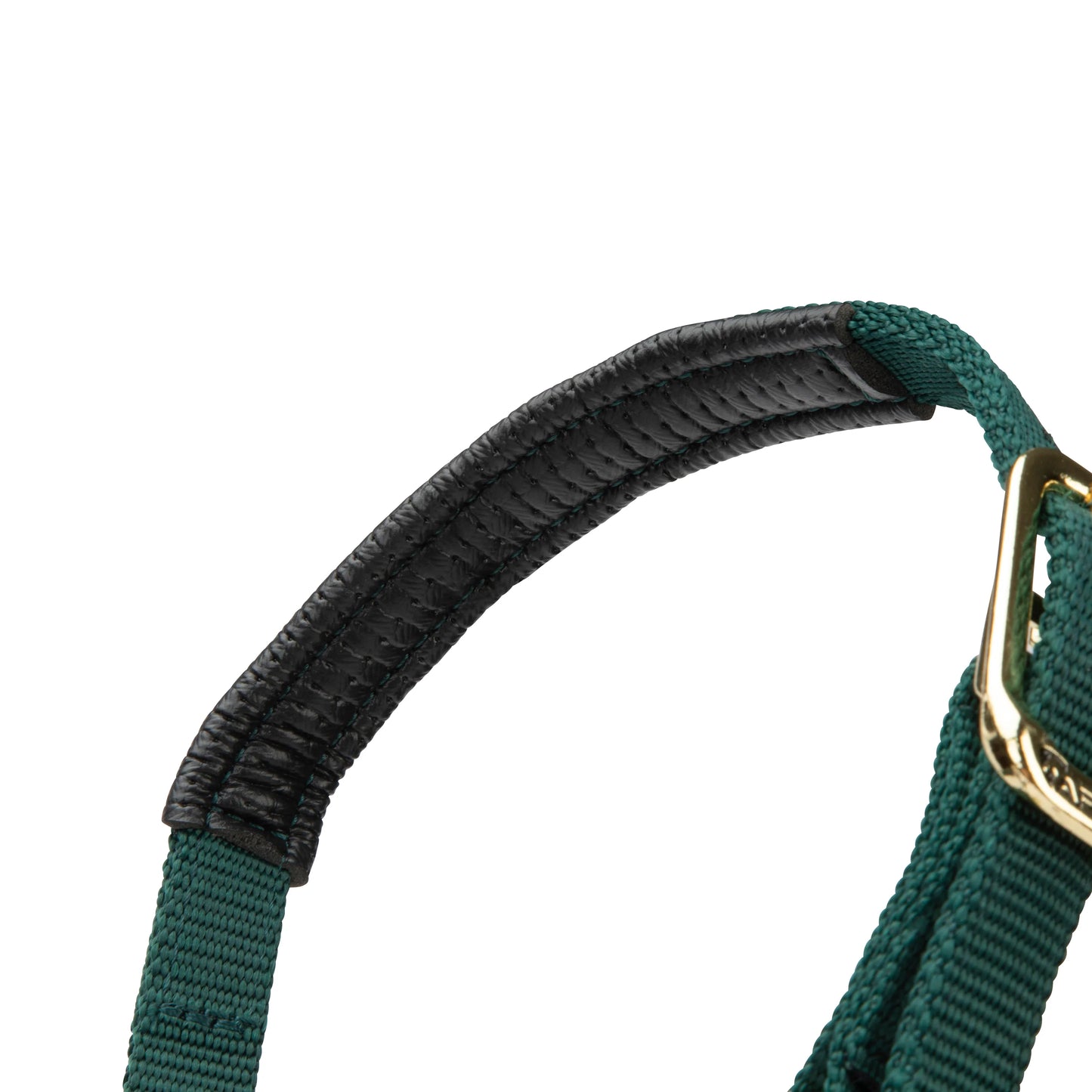 ARMA Topaz Nylon Headcollar – Durable Adjustable Halter with Soft Padding