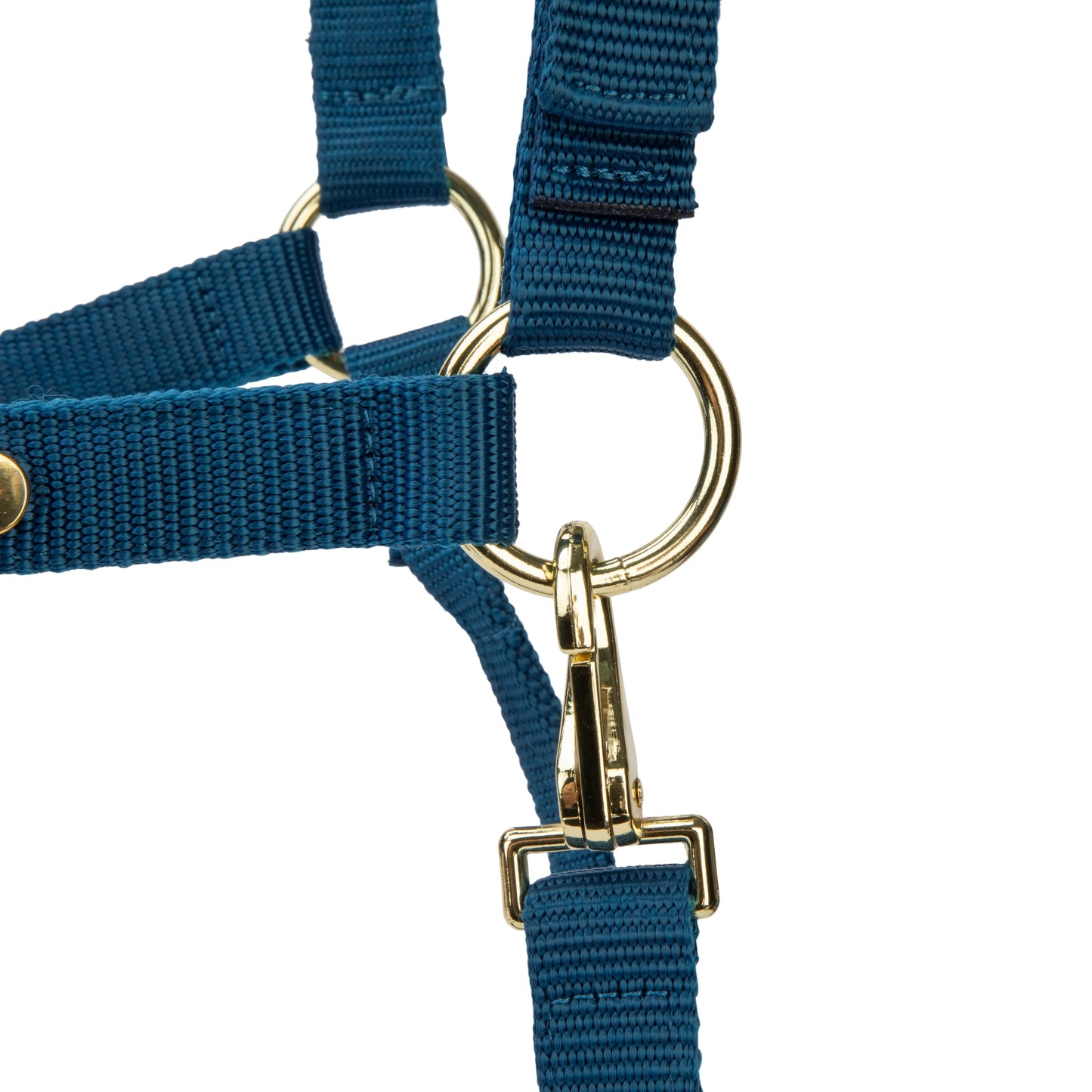 ARMA Topaz Nylon Headcollar – Durable Adjustable Halter with Soft Padding
