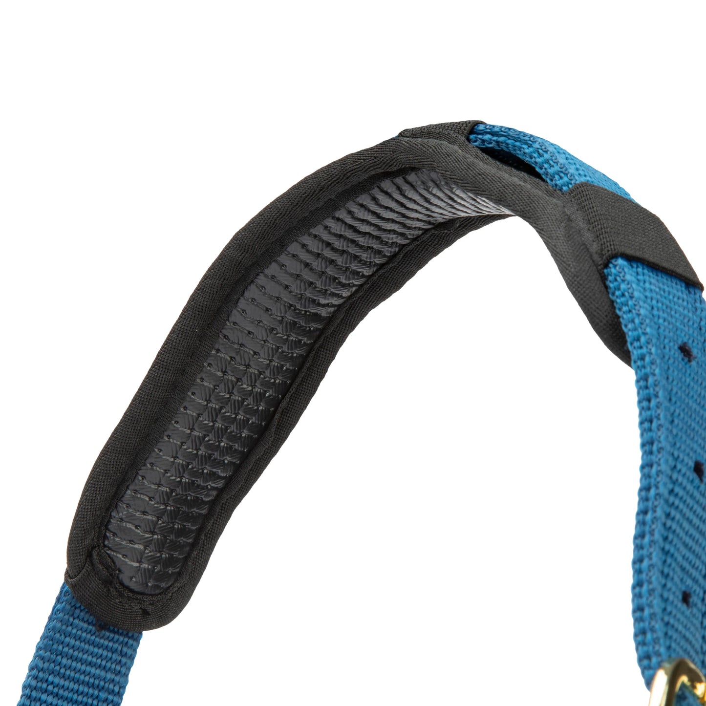 ARMA Topaz Nylon Headcollar – Durable Adjustable Halter with Soft Padding