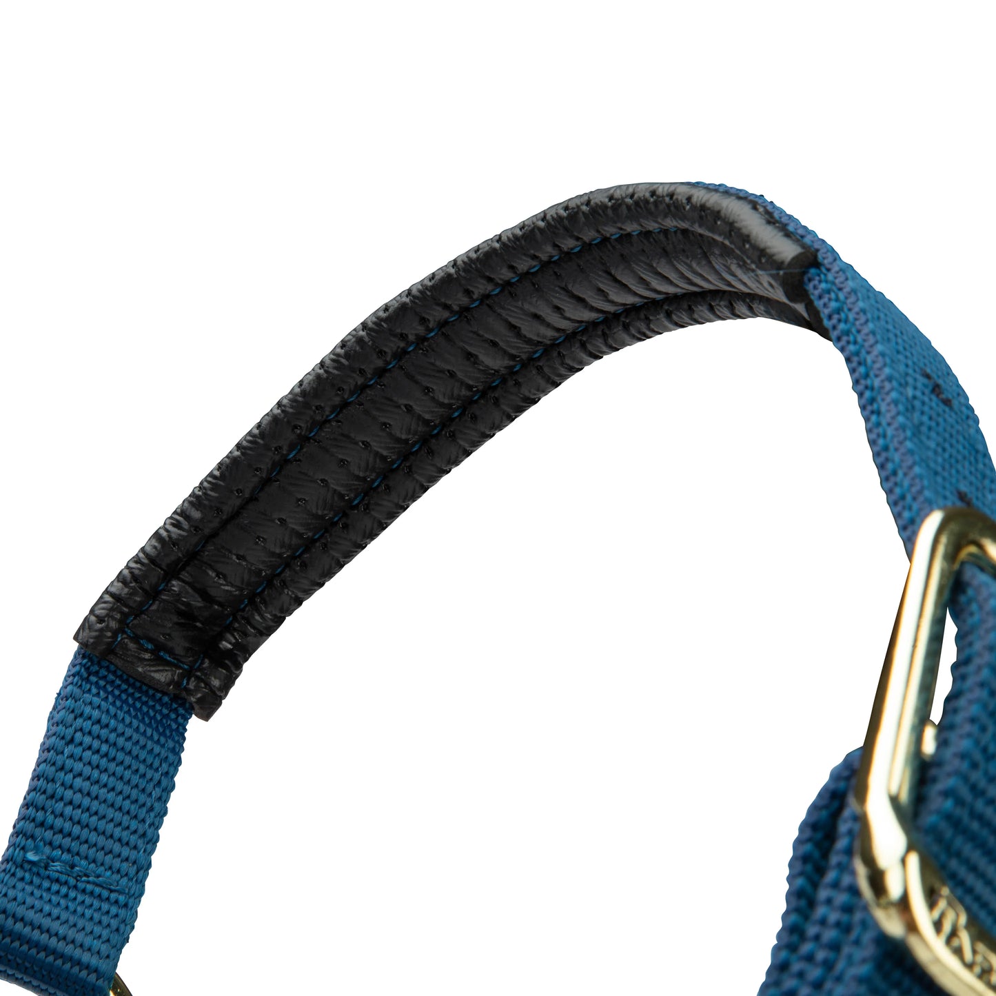 ARMA Topaz Nylon Headcollar – Durable Adjustable Halter with Soft Padding