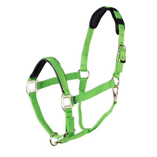 ARMA Topaz Nylon Headcollar – Durable Adjustable Halter with Soft Padding