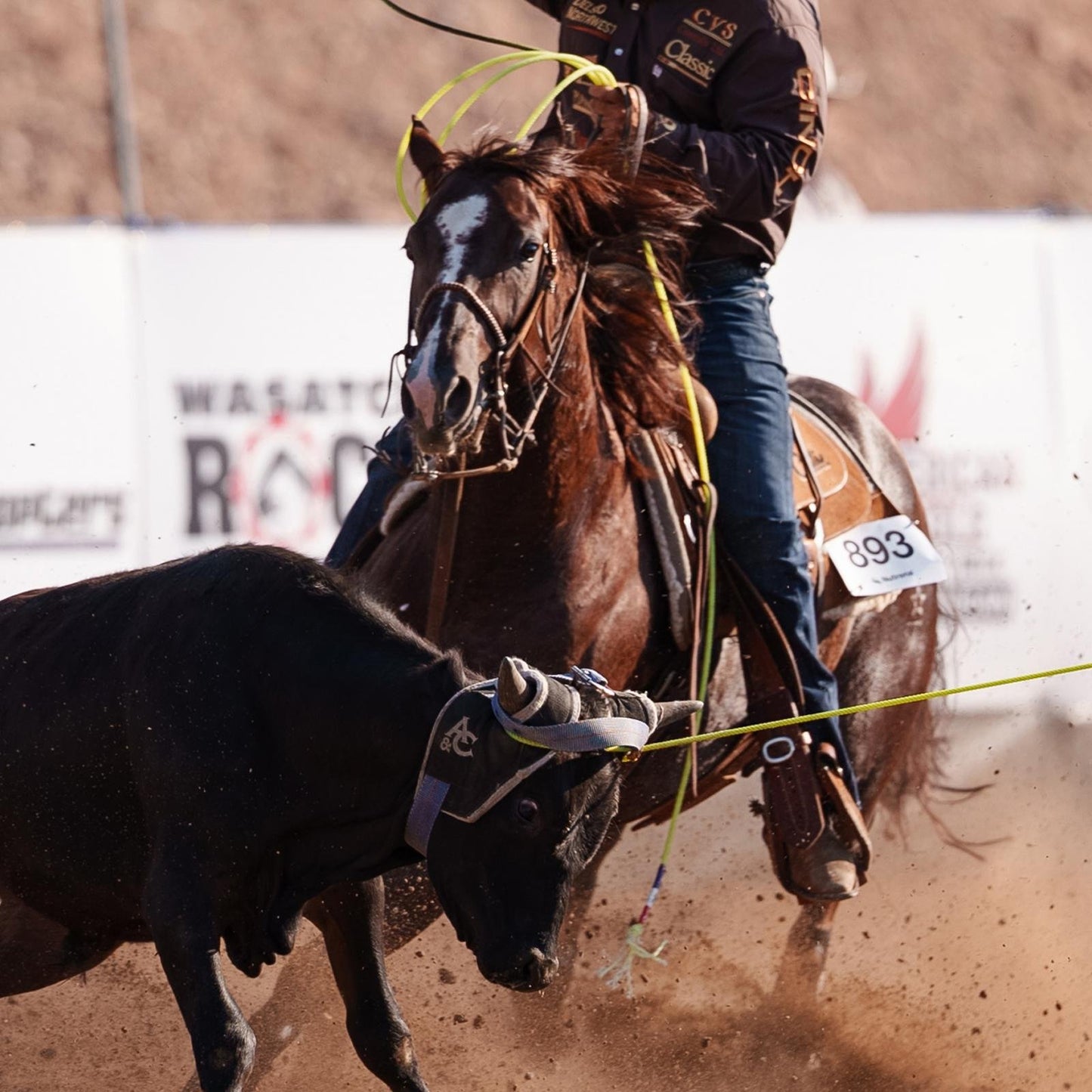 NXT5® Team Rope – 30′ Head (3/8″, 5‑Strand w/ CoreTech™)