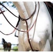 Signature by Antarès Standing Martingale