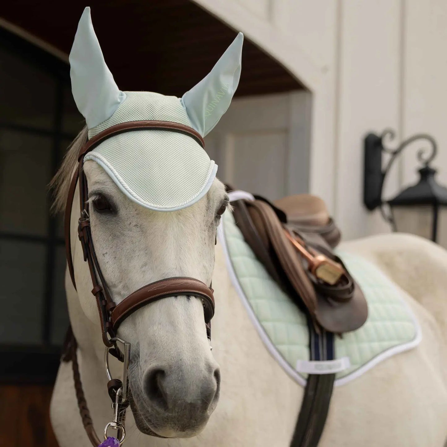 Equinavia Svalbard Saddle Pad & Ear Net Set | NordicAir™ Breathable Equestrian Collection