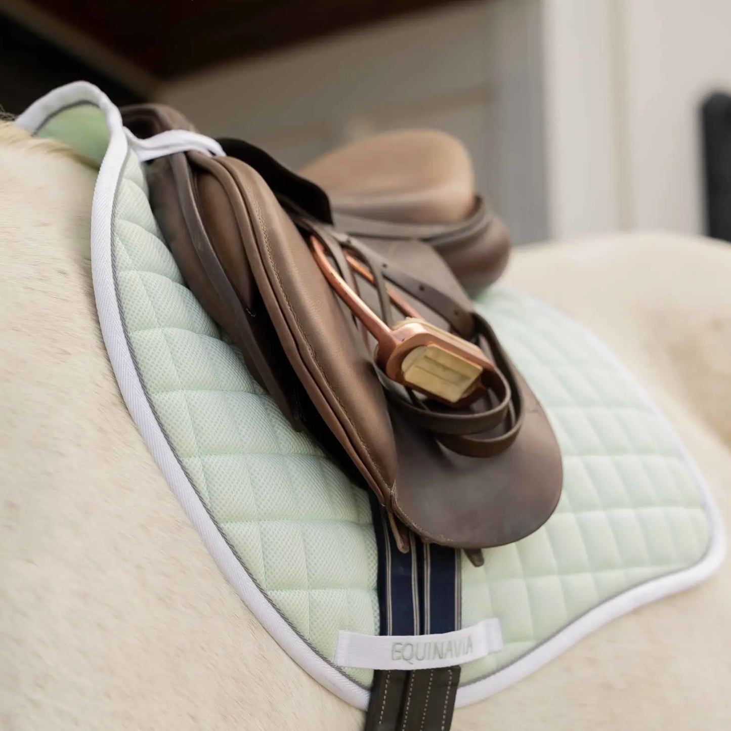 Equinavia Svalbard Saddle Pad & Ear Net Set | NordicAir™ Breathable Equestrian Collection