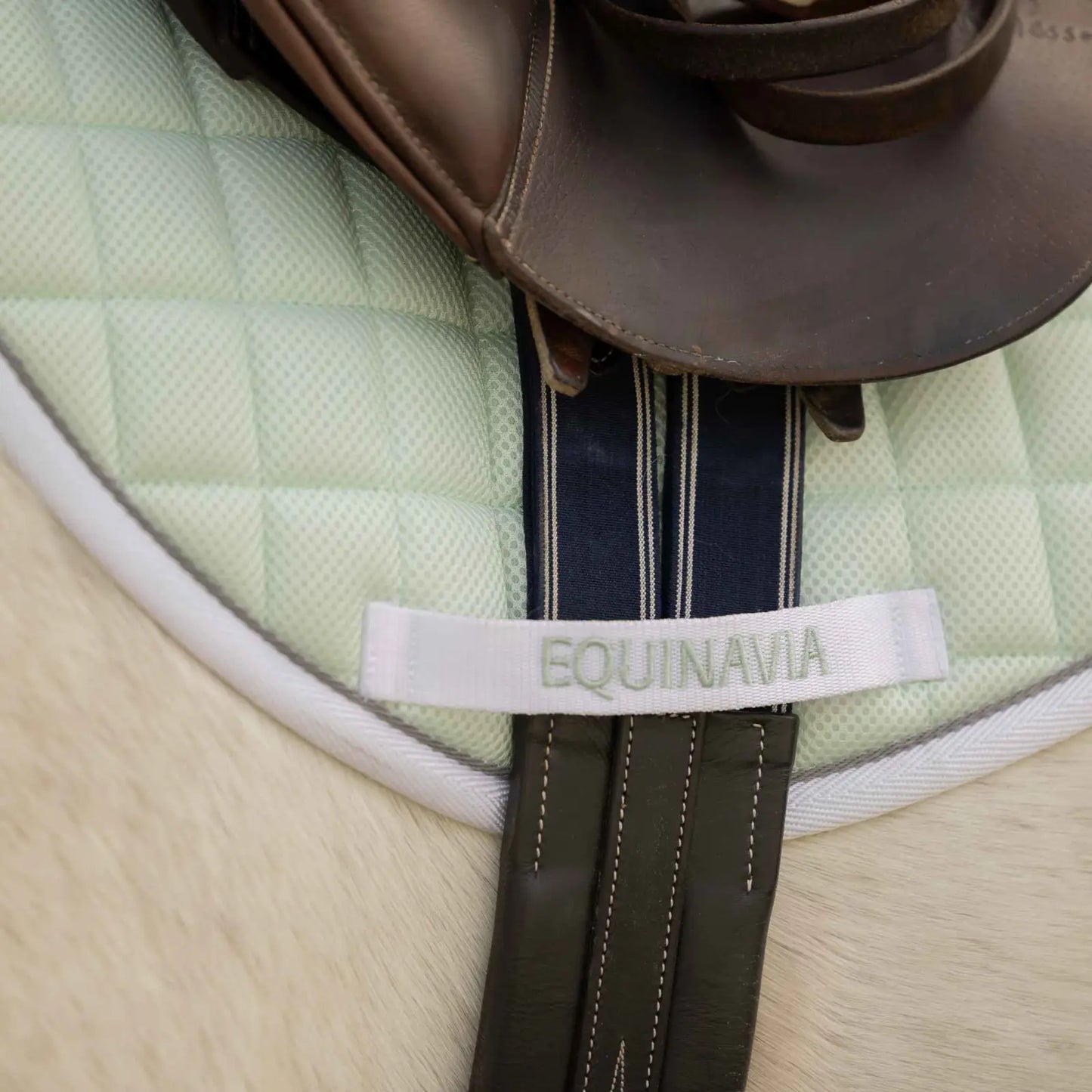 Equinavia Svalbard Saddle Pad & Ear Net Set | NordicAir™ Breathable Equestrian Collection