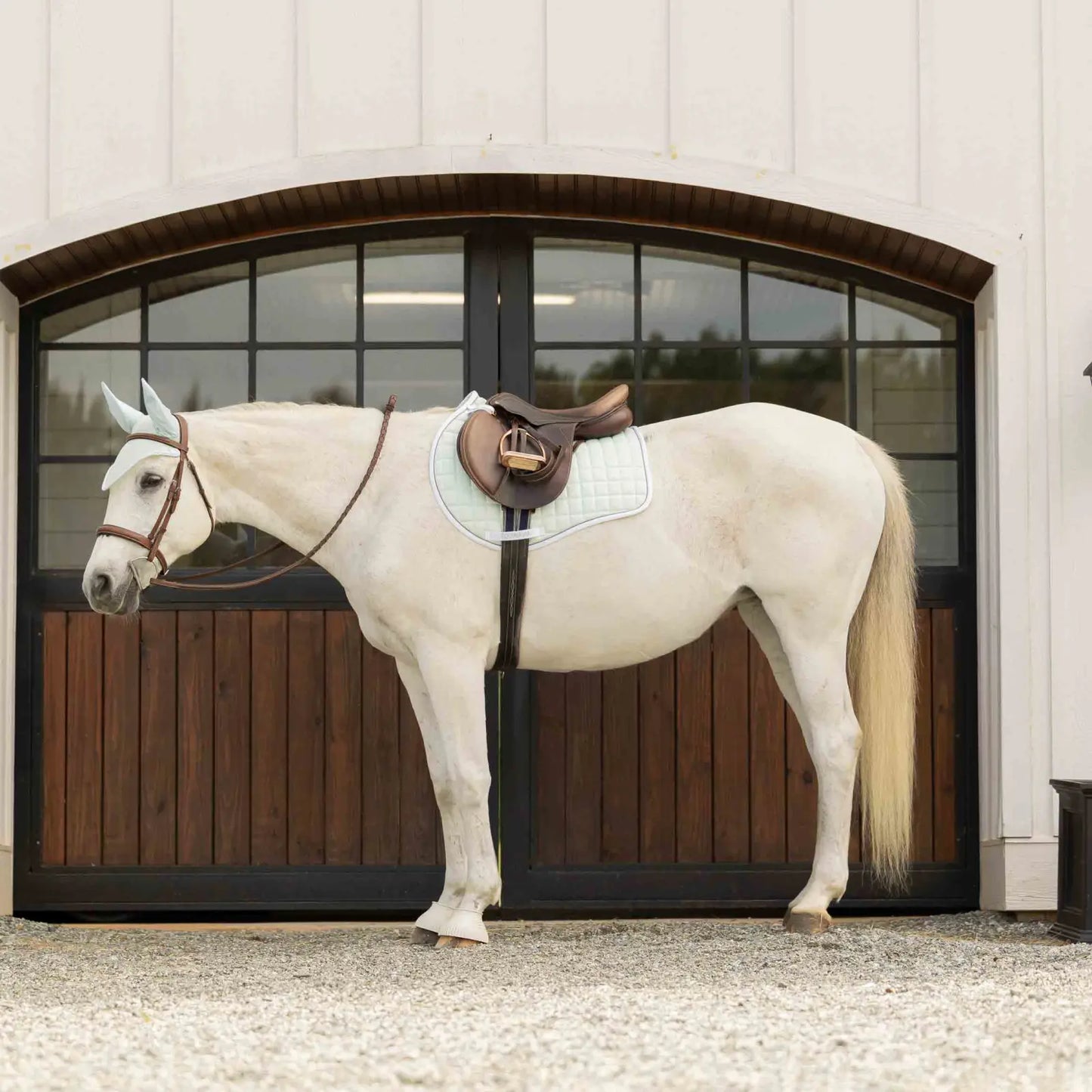 Equinavia Svalbard Saddle Pad & Ear Net Set | NordicAir™ Breathable Equestrian Collection
