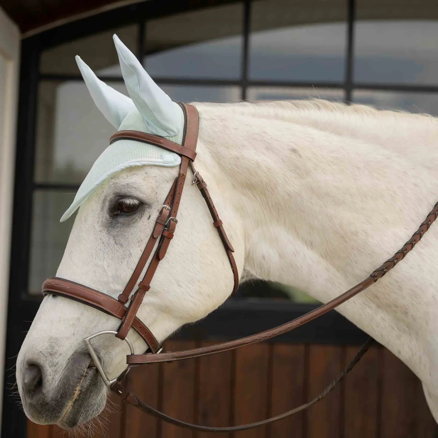 Equinavia Svalbard Saddle Pad & Ear Net Set | NordicAir™ Breathable Equestrian Collection