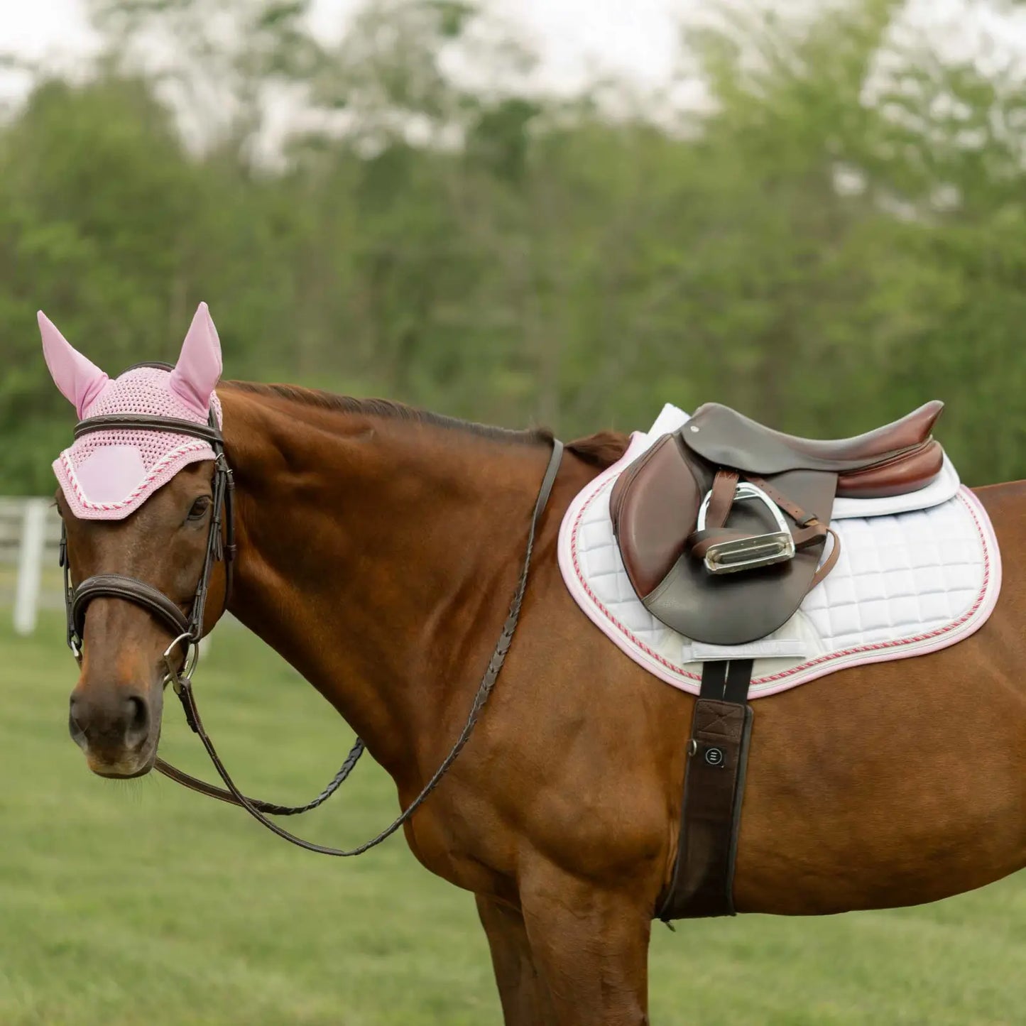 Equinavia Copenhagen All Purpose Saddle Pad & Ear Net Set | Premium Equestrian Collection