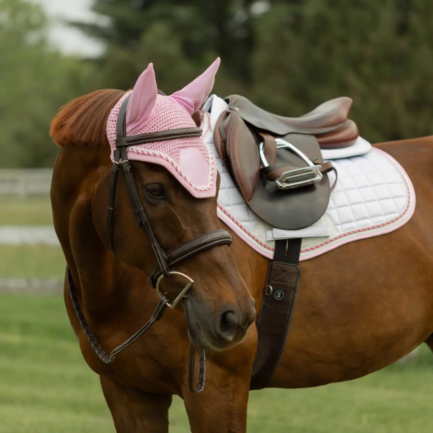 Equinavia Copenhagen All Purpose Saddle Pad & Ear Net Set | Premium Equestrian Collection