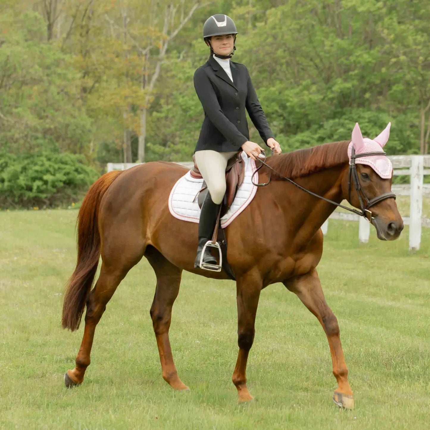 Equinavia Copenhagen All Purpose Saddle Pad & Ear Net Set | Premium Equestrian Collection