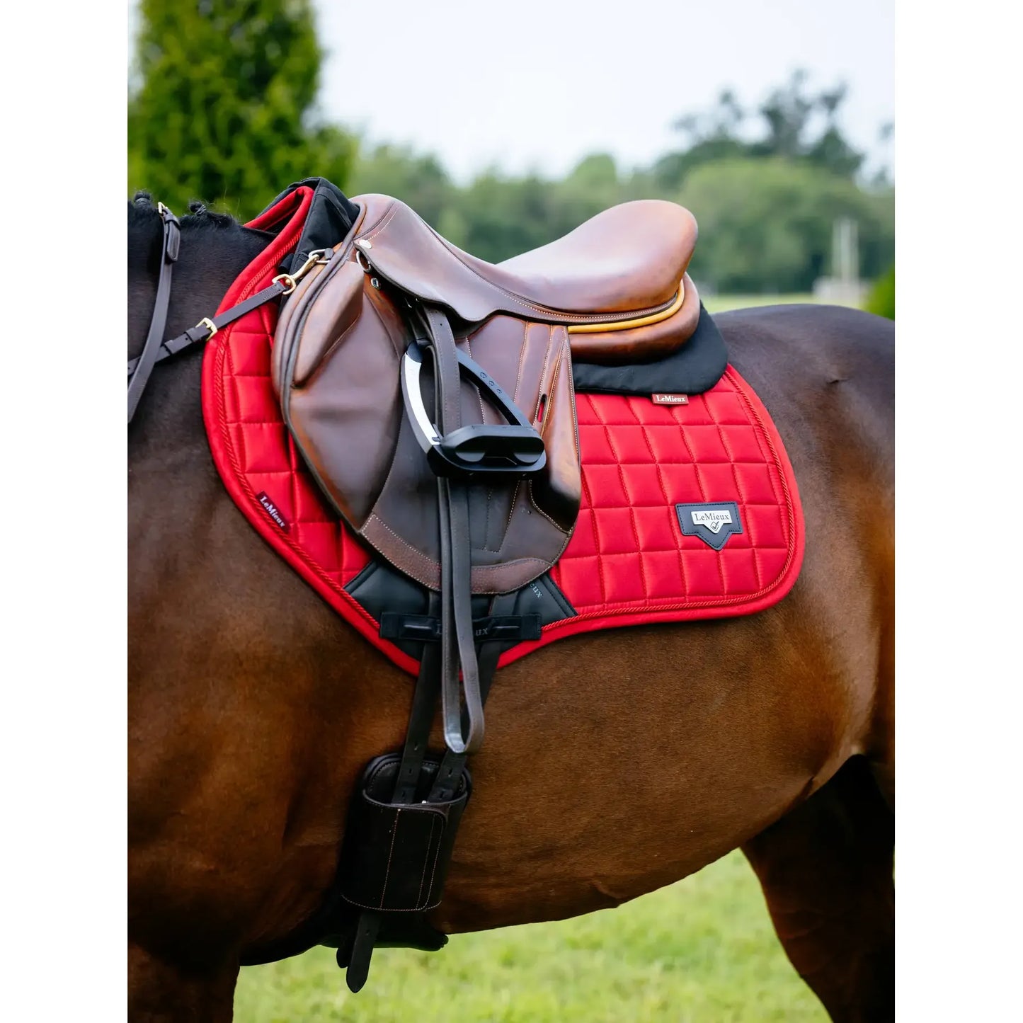 LeMieux Loire Classic Close Contact Square – Chilli