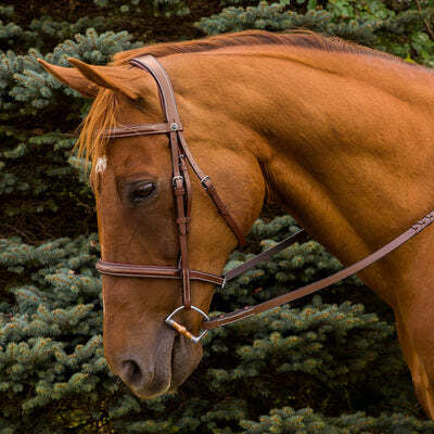 Brida acolchada Henri de Rivel Pro Fancy con riendas de cordones de 5/8"