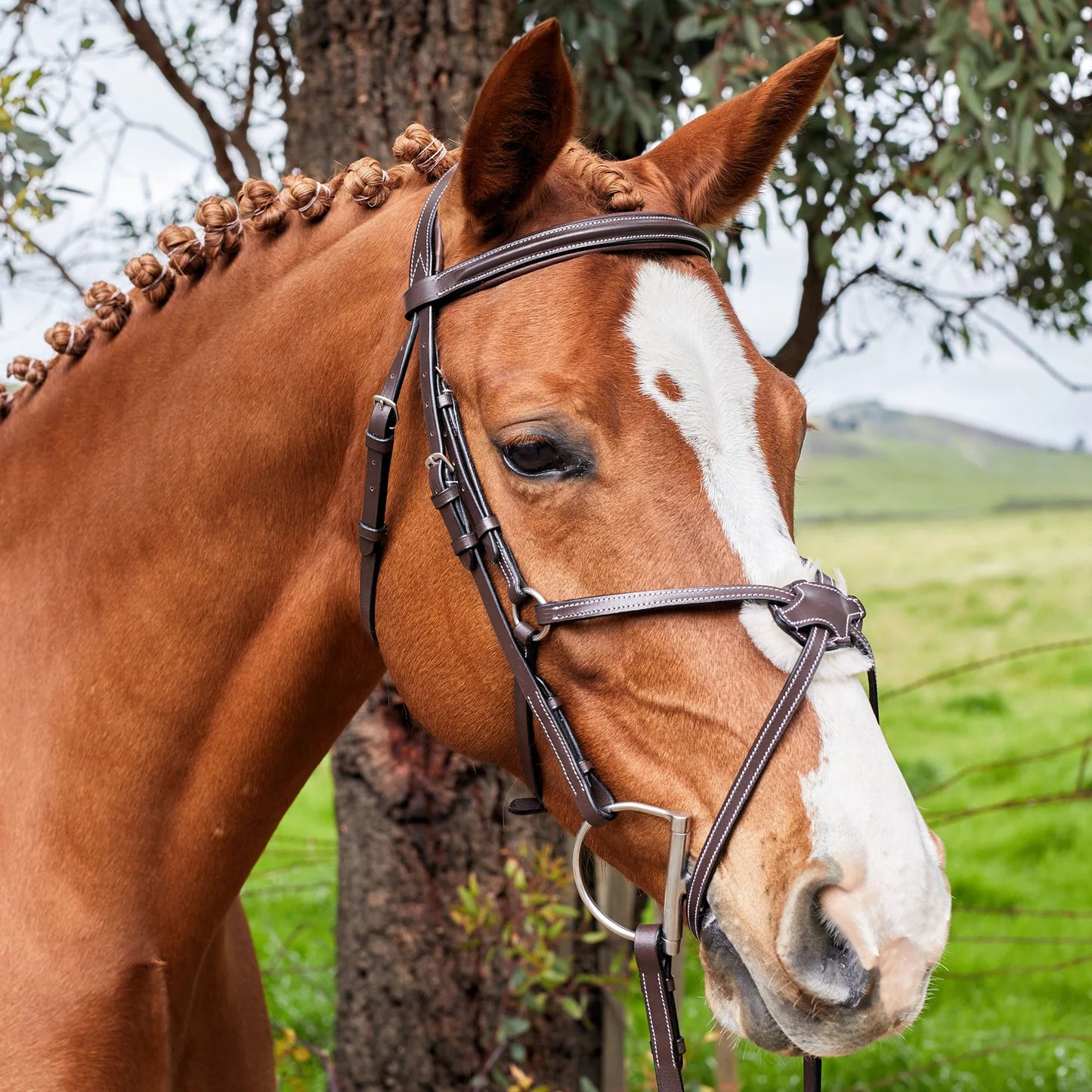 Bridón Henri de Rivel Pro Mono Corona con Figura de 8 Acolchada