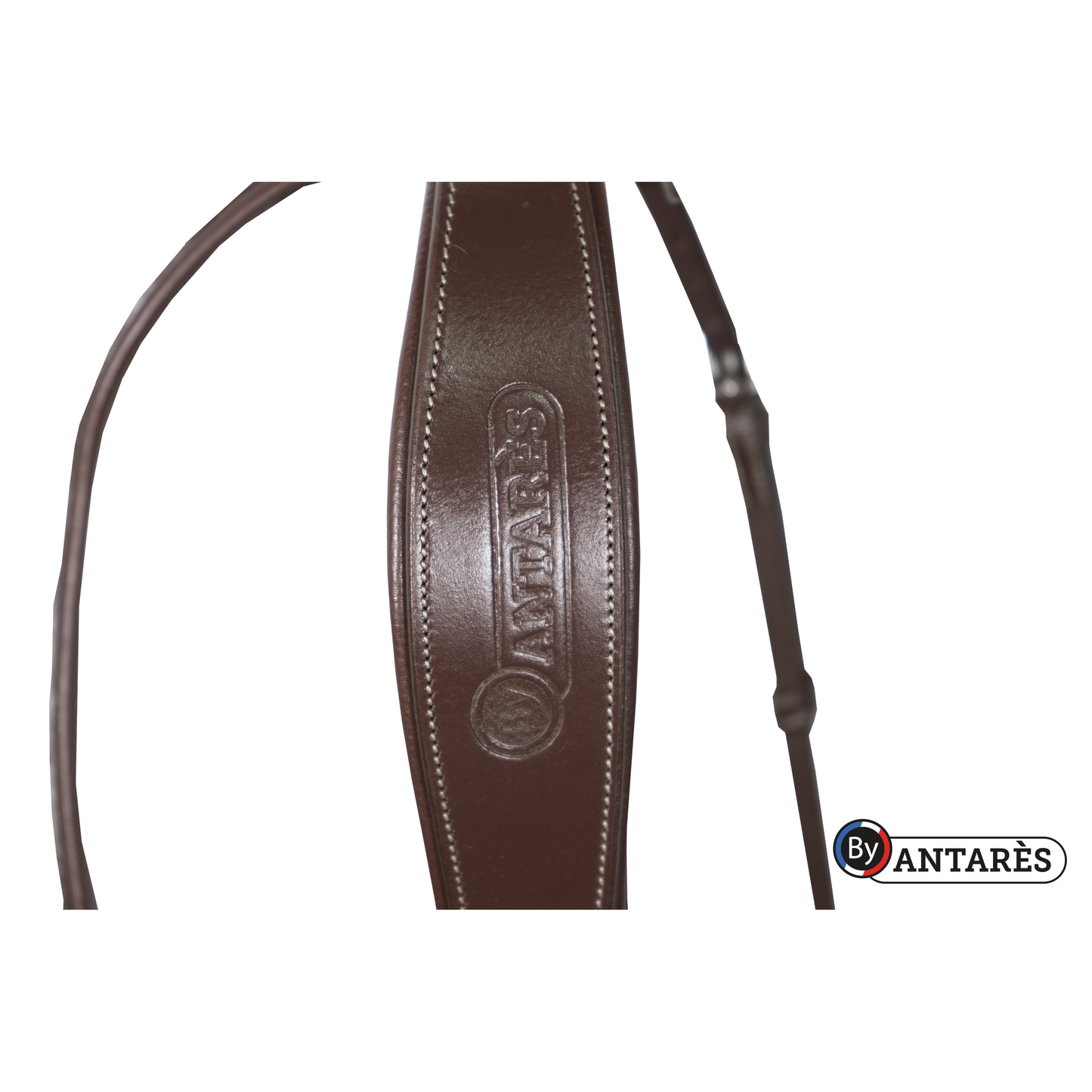 Signature by Antarès Flash Noseband Snaffle Bridle