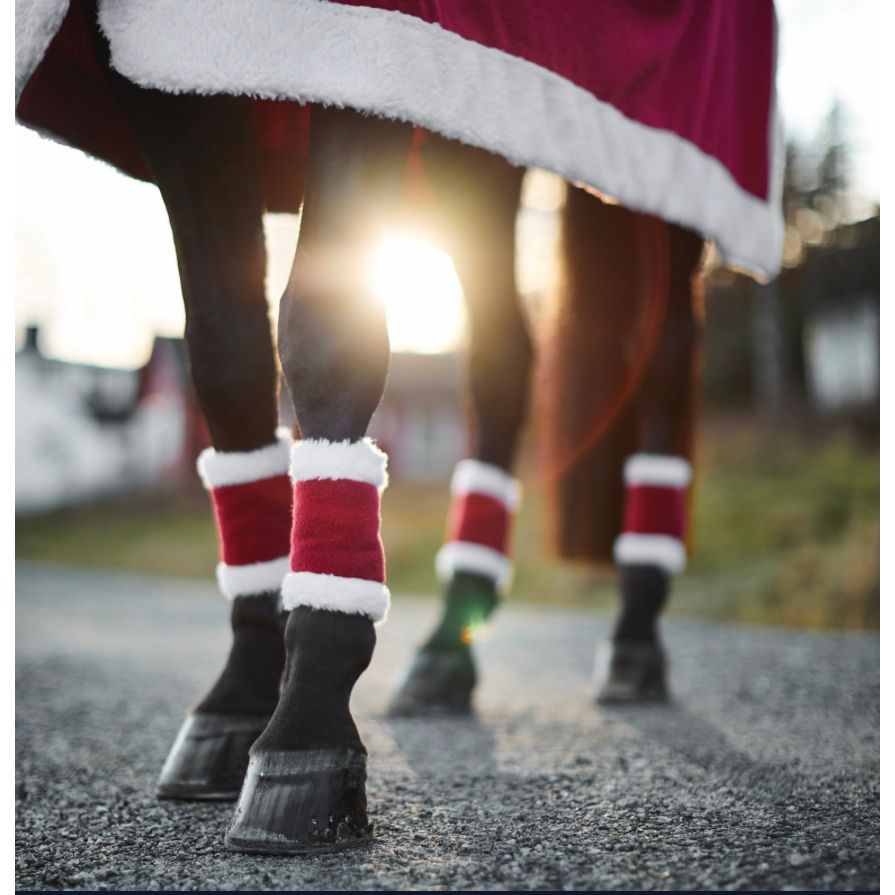 Horze Santa Leg Wraps 4 pcs image 0