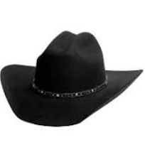 Lone Ranger 8X Fur Blend Cowboy Hat
