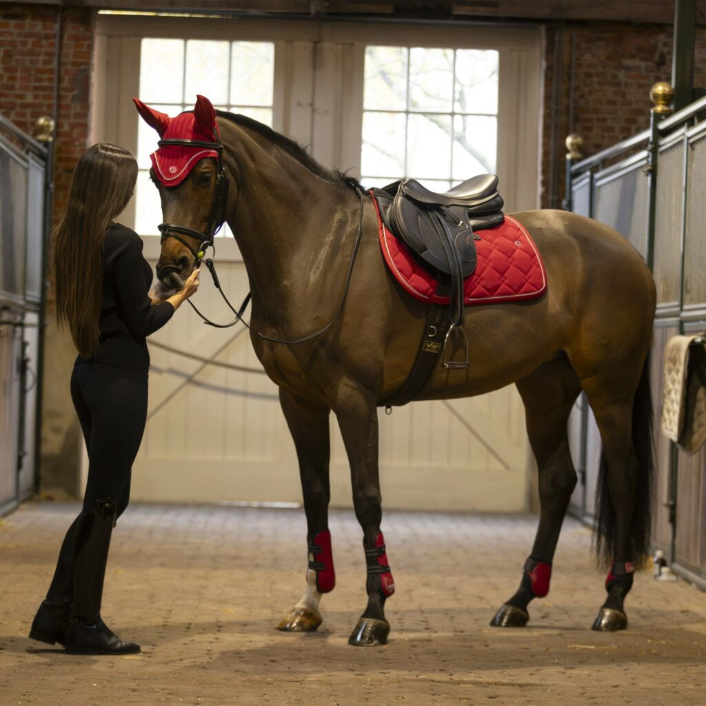 Fly veil Luxin image 13